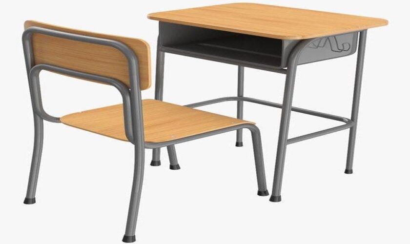 What are the different styles for school desk children can enjoy